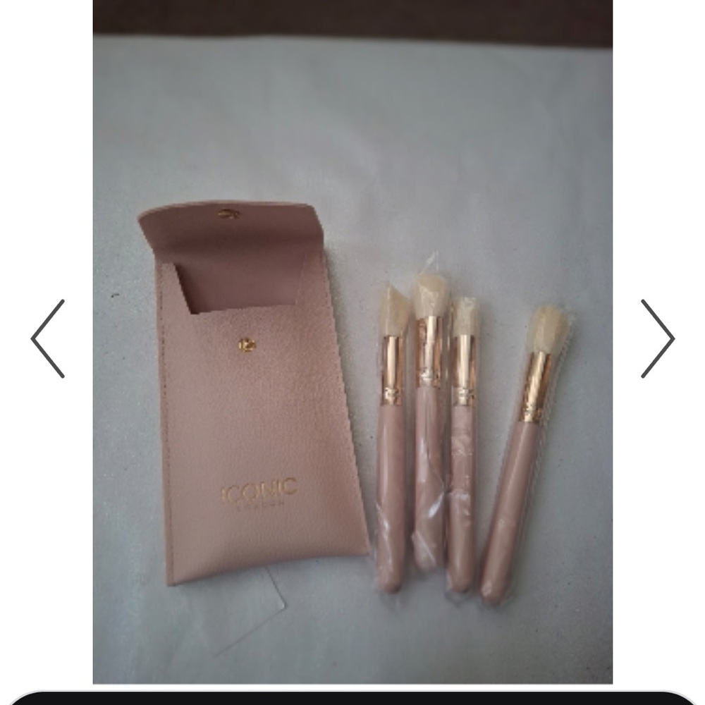 NWT ICONIC London Blush Pink Brush Set with Case